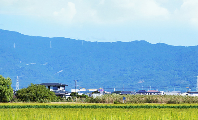 1669946326313111.jpg 640.jpg