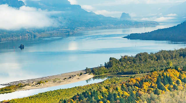 1683683061262302.jpg 640.jpg