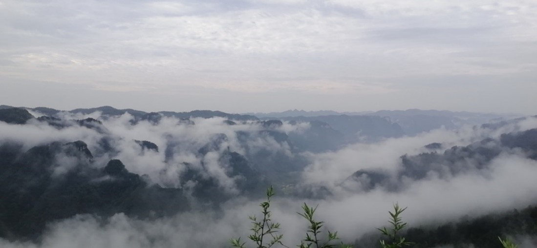 1718247967723515.jpg 1718247967723515.jpg